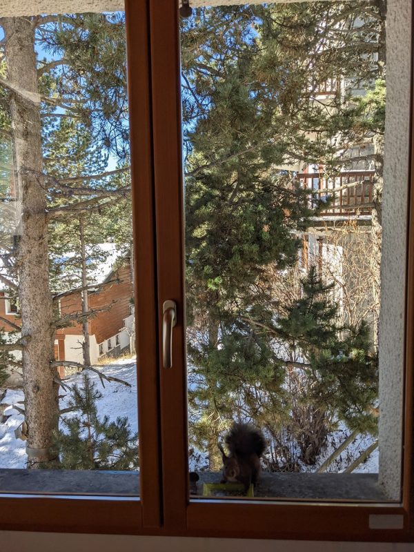 Fenetre de la cuisine